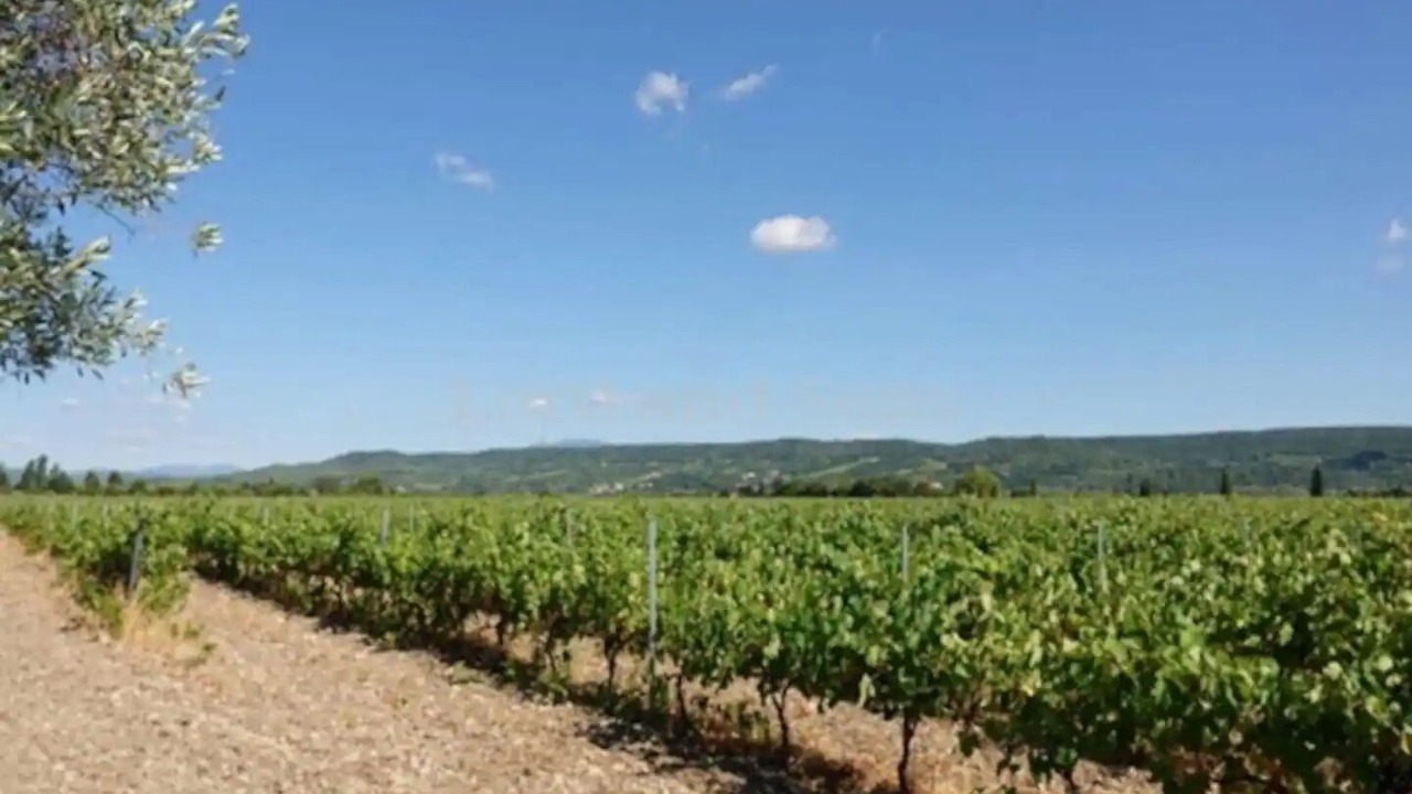 Photo of Outdoor in Tulette