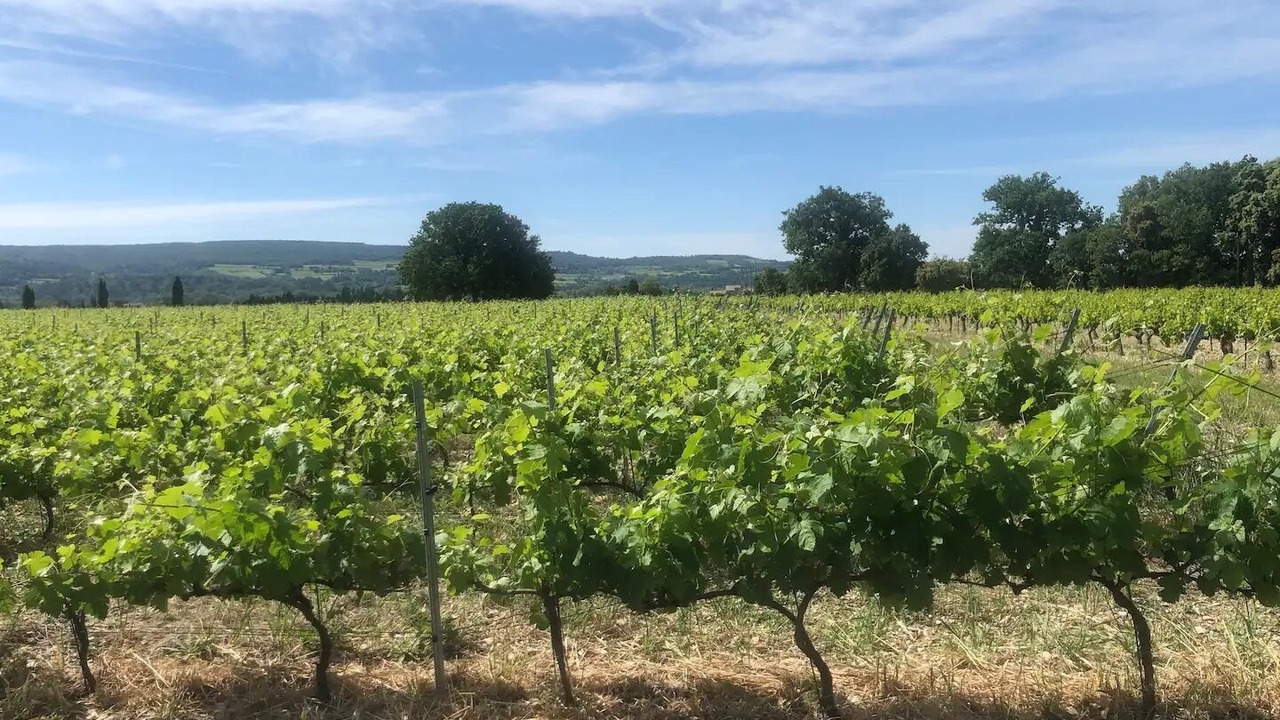Photo of Outdoor in Tulette