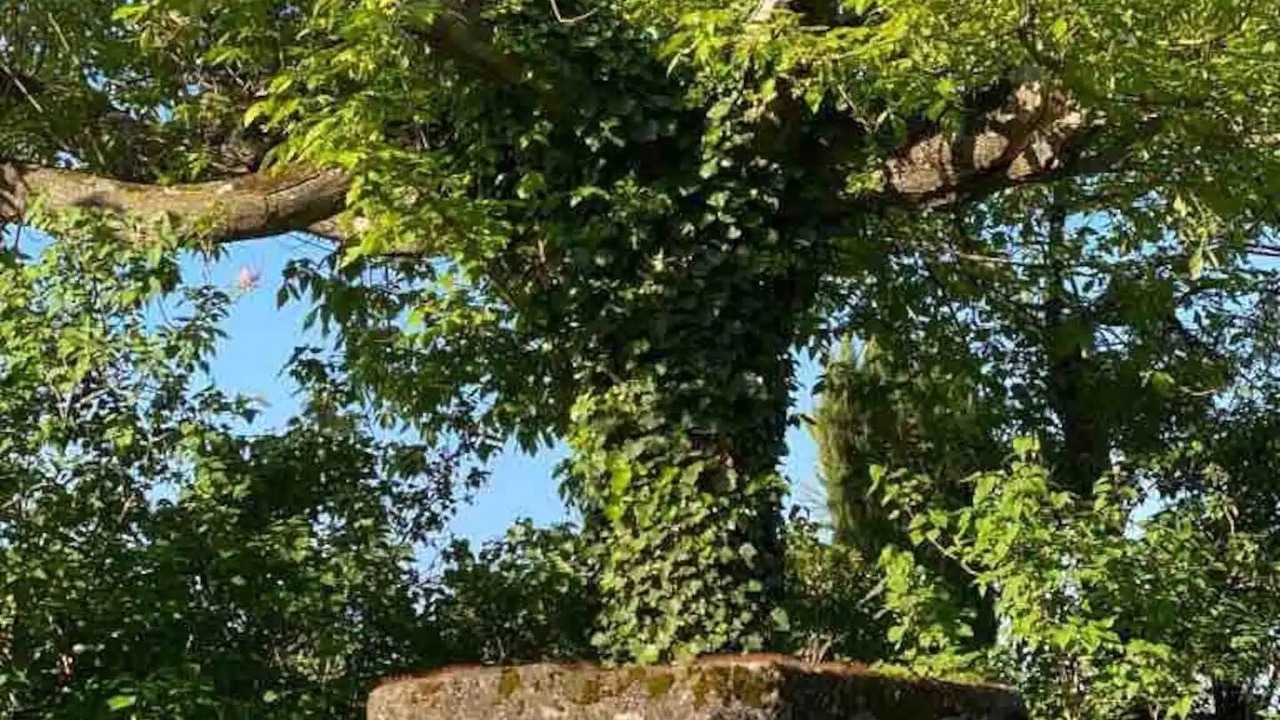 Photo of Outdoor in Tulette
