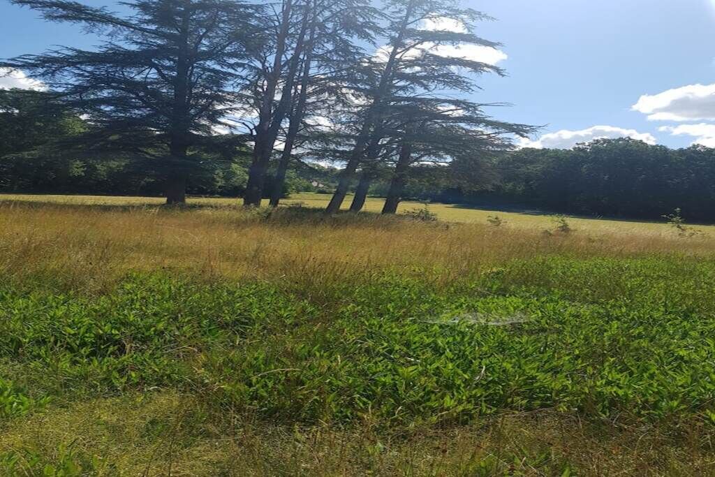 Photo of Outdoor in Vendenesse-sur-Arroux