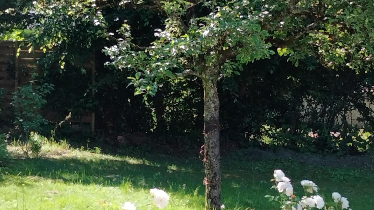 Photo of Outdoor in Geneuille