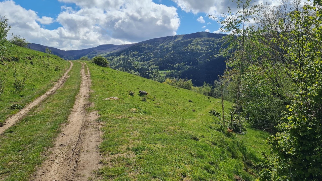 Photo of Outdoor in Sondernach