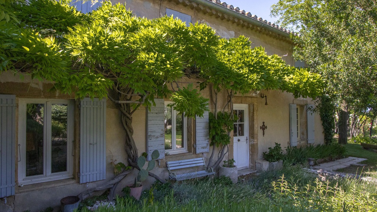 Photo of Outdoor in Rochegude