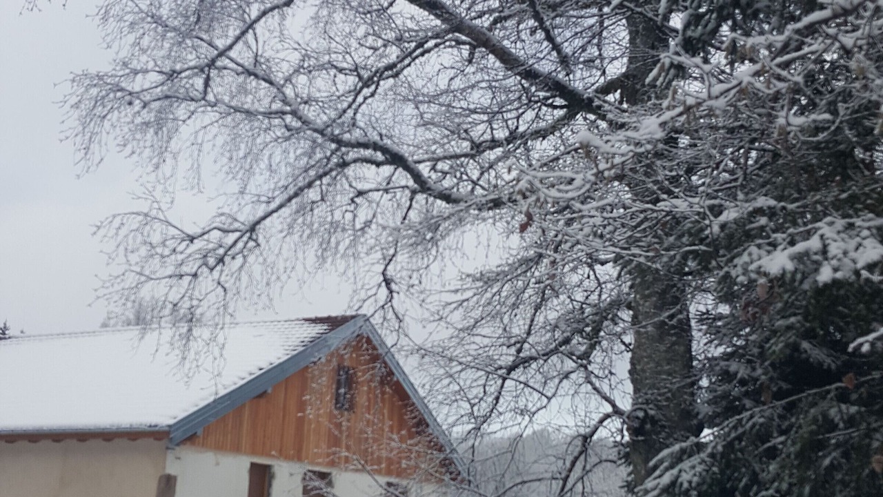 Photo of Outdoor in Le Tholy