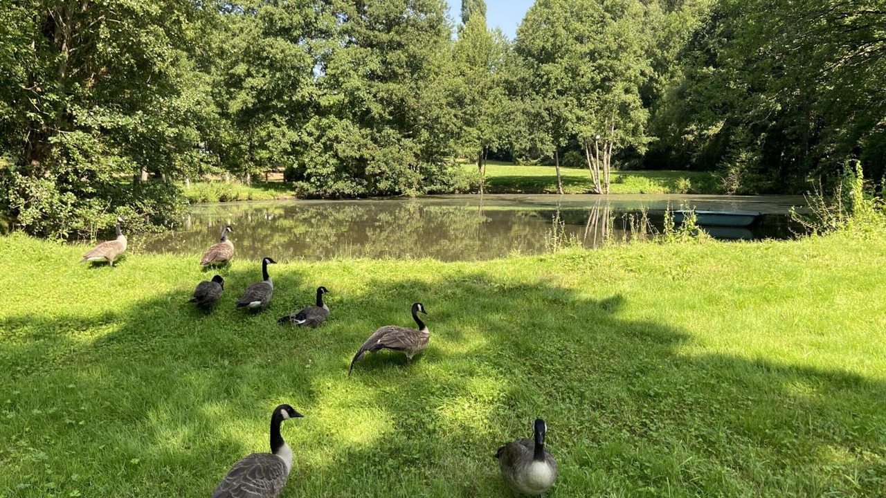 Photo of Outdoor in Senlisse