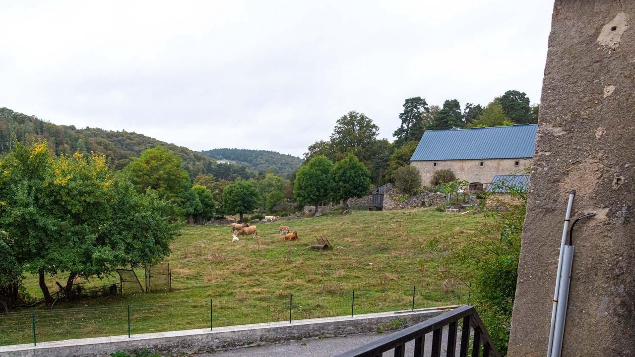 Photo of Others in Fau-de-Peyre