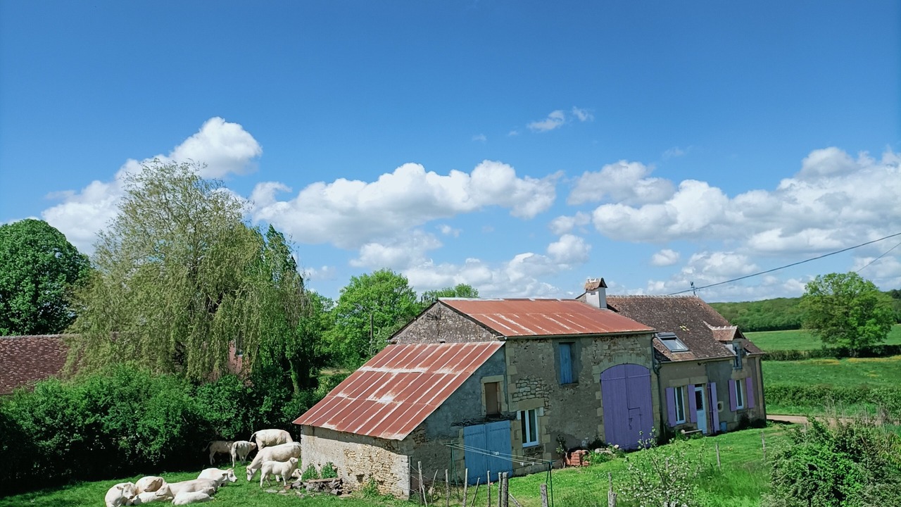 Photo of Outdoor in La Celle-sur-Nievre