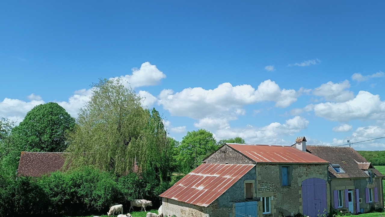 Photo of Others in La Celle-sur-Nievre