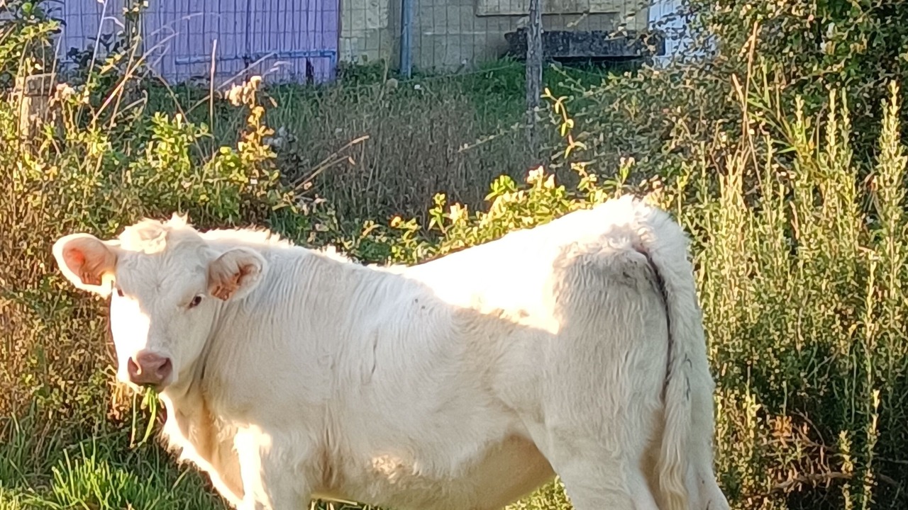 Photo of Outdoor in La Celle-sur-Nievre
