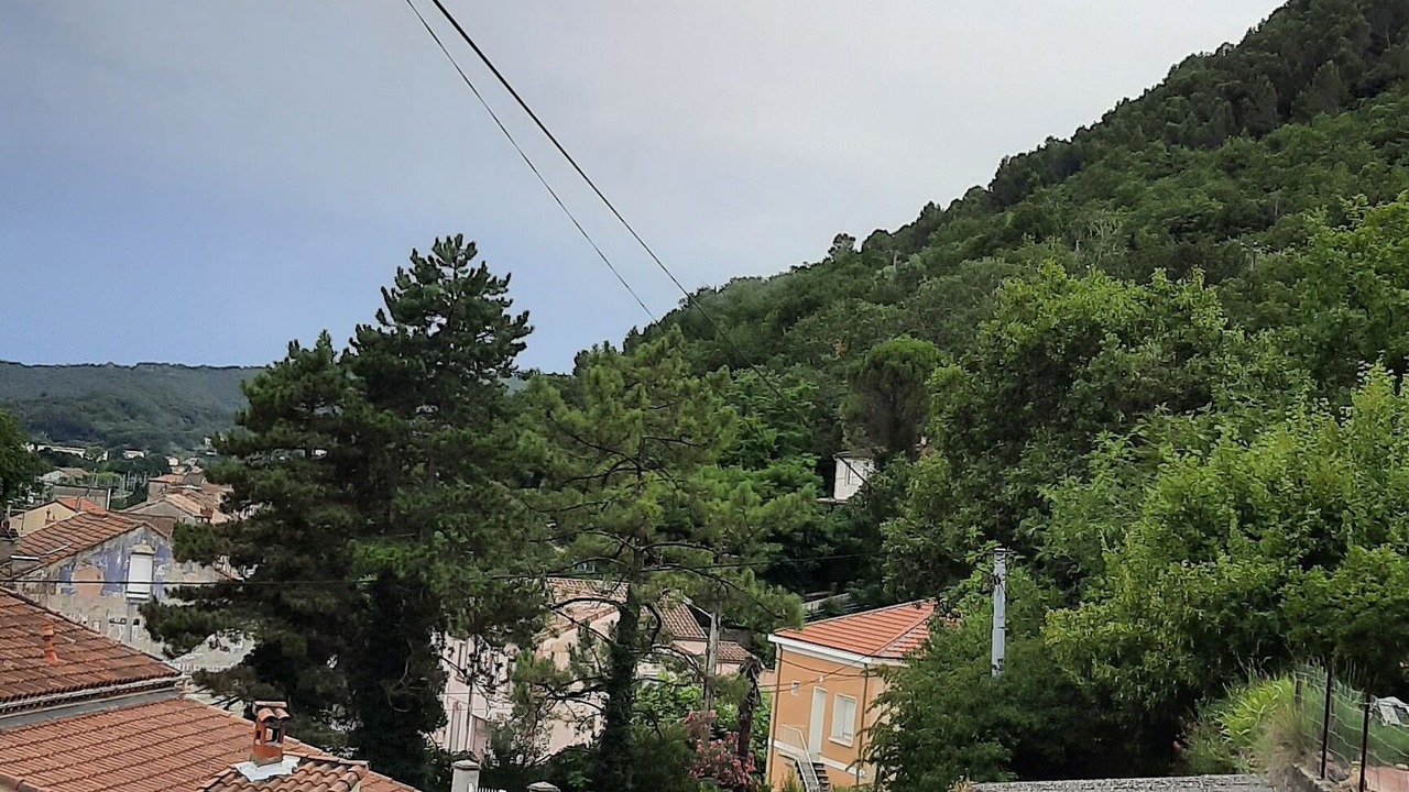 Photo of Others in Le Teil