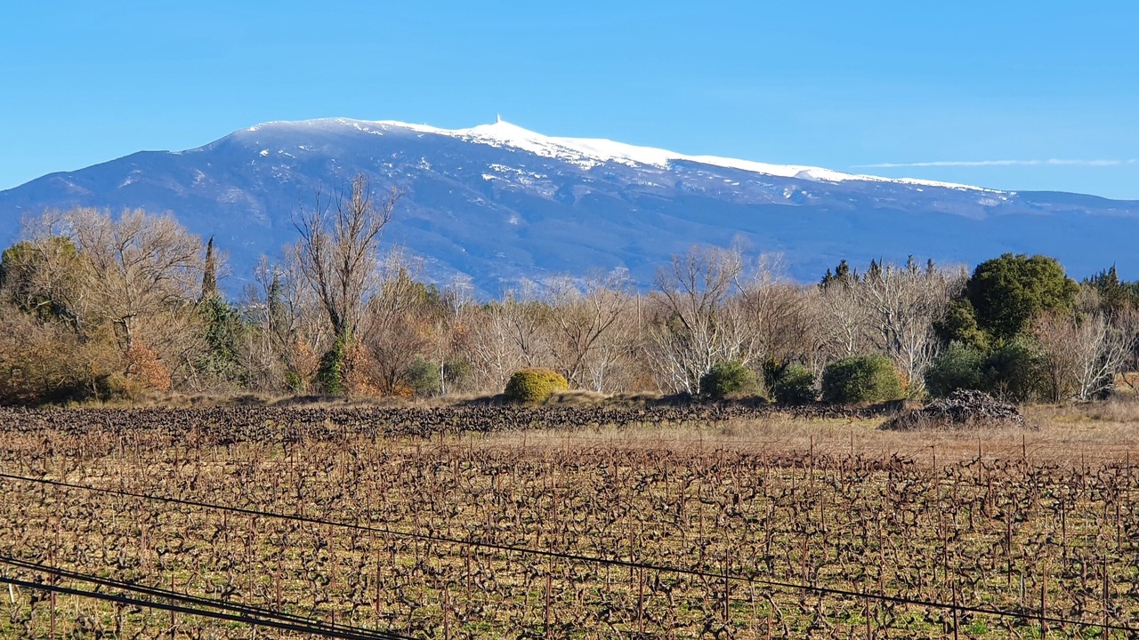 Photo of Outdoor in Carpentras
