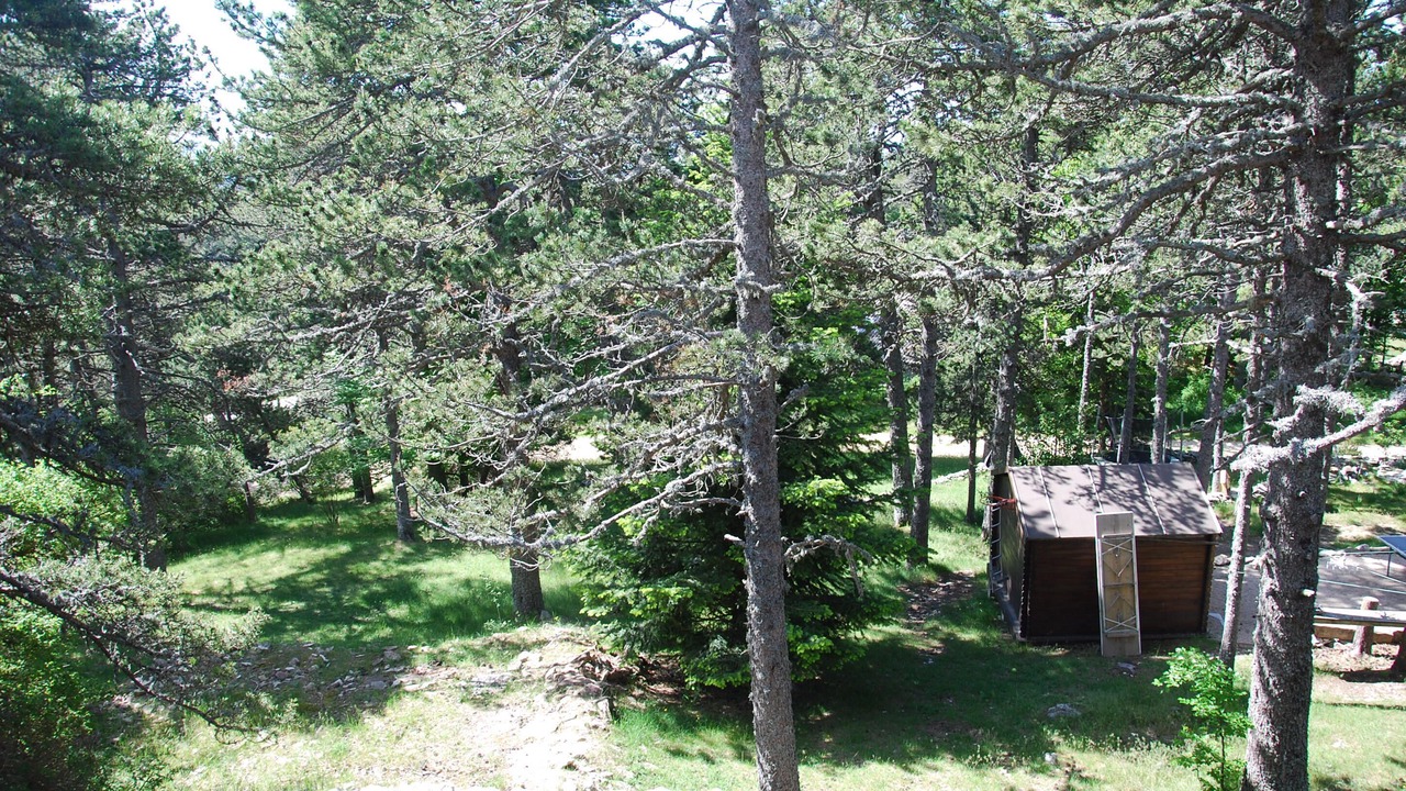 Photo of Outdoor in Bedoin