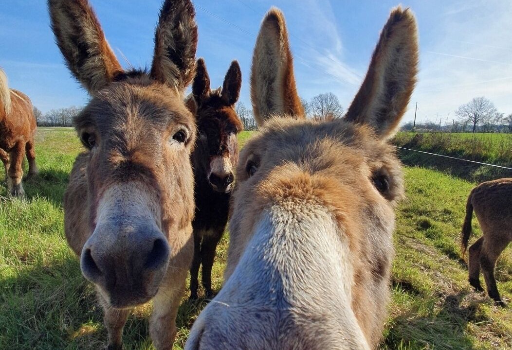 Photo of Outdoor in Serley