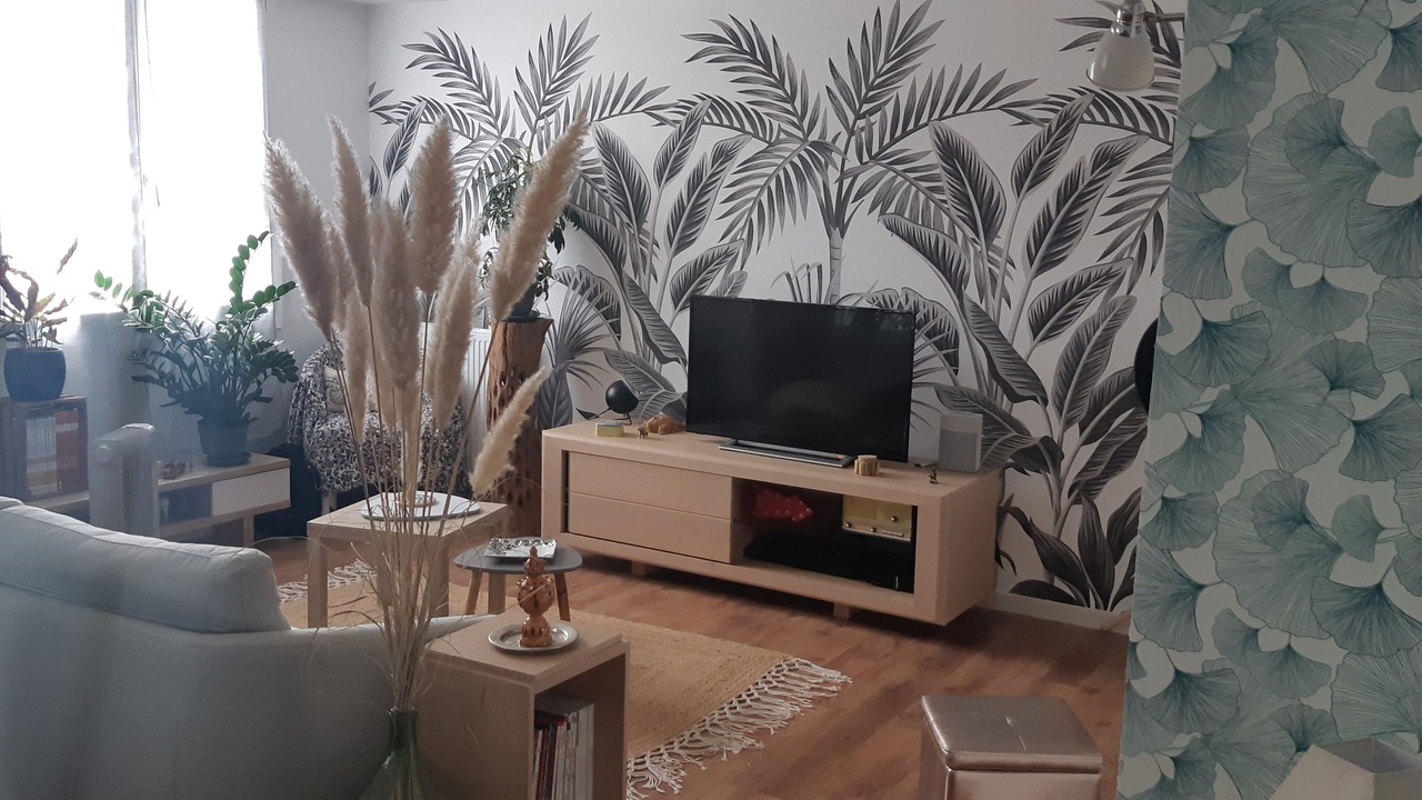 Photo of Livingroom in Saint-Martin-d'Heres