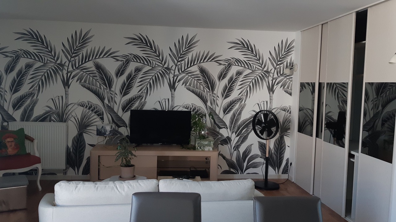 Photo of Livingroom in Saint-Martin-d'Heres