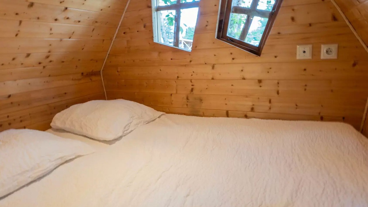 Photo of Bedroom in Chassenard
