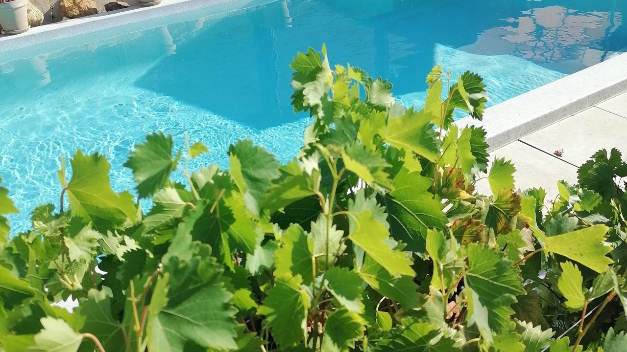 Photo of Outdoor in Bedoin