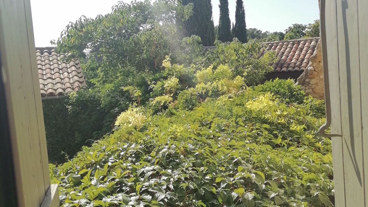 Photo of Outdoor in Bedoin