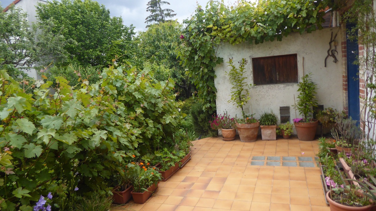 Photo of Outdoor in Antony
