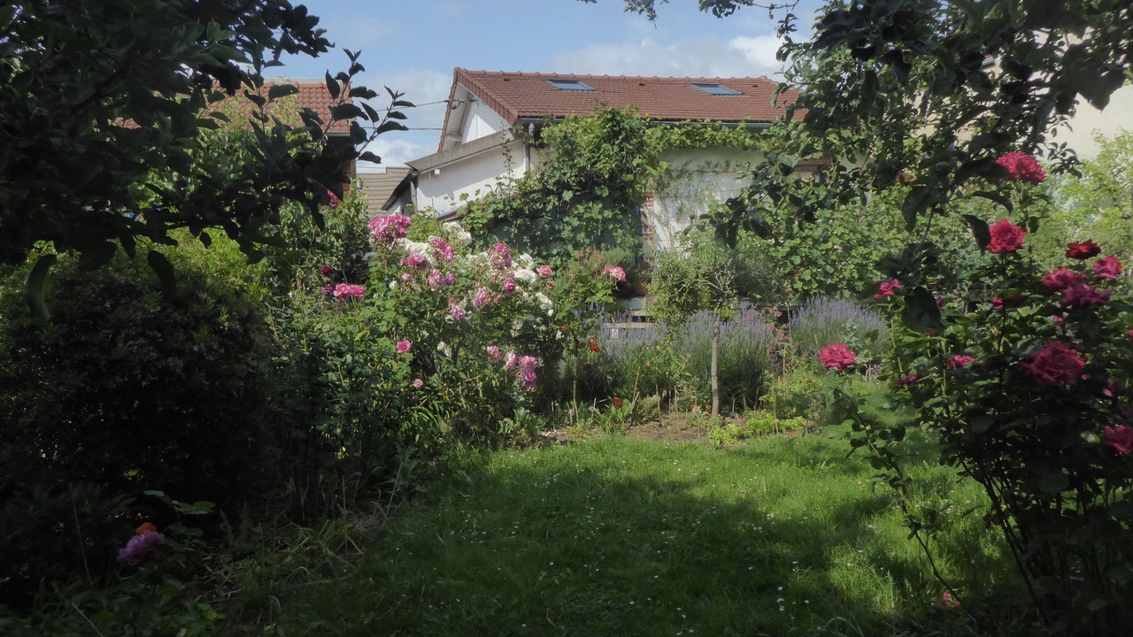 Photo of Outdoor in Antony