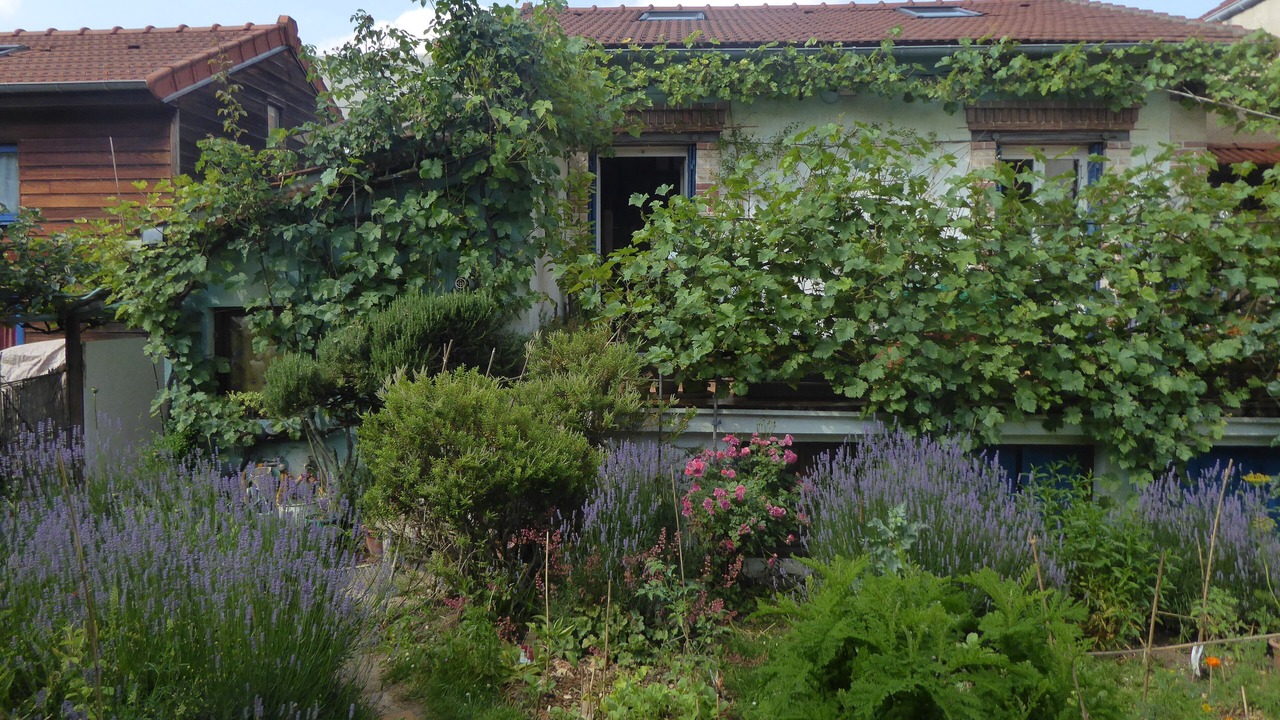 Photo of Outdoor in Antony