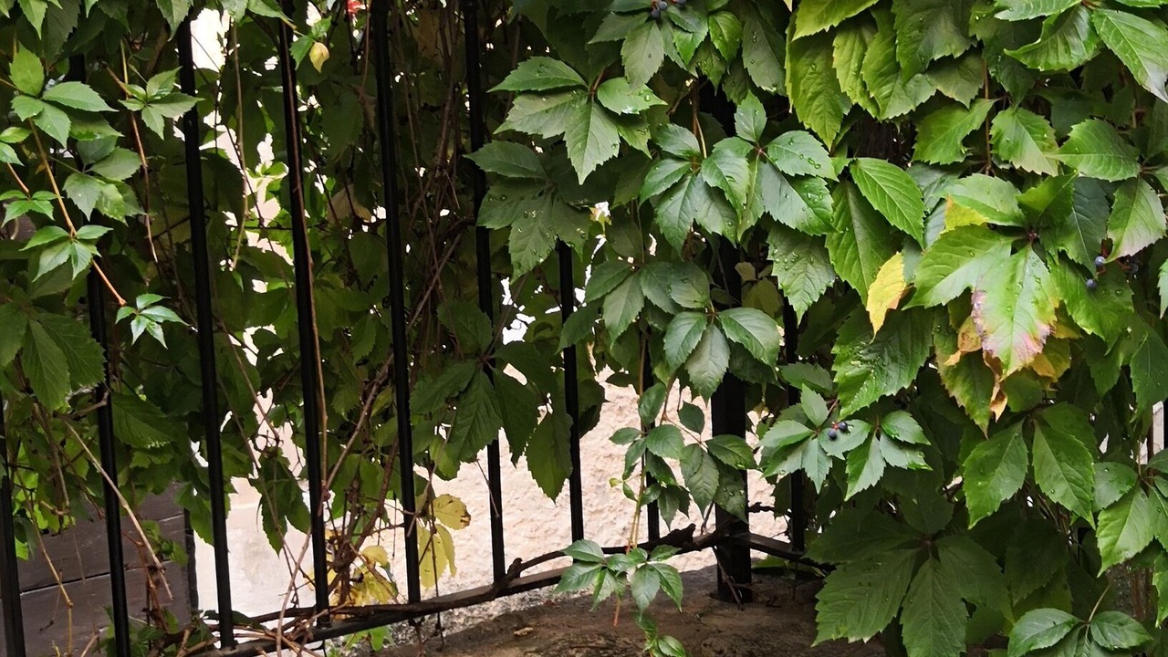 Photo of Outdoor in Venasque
