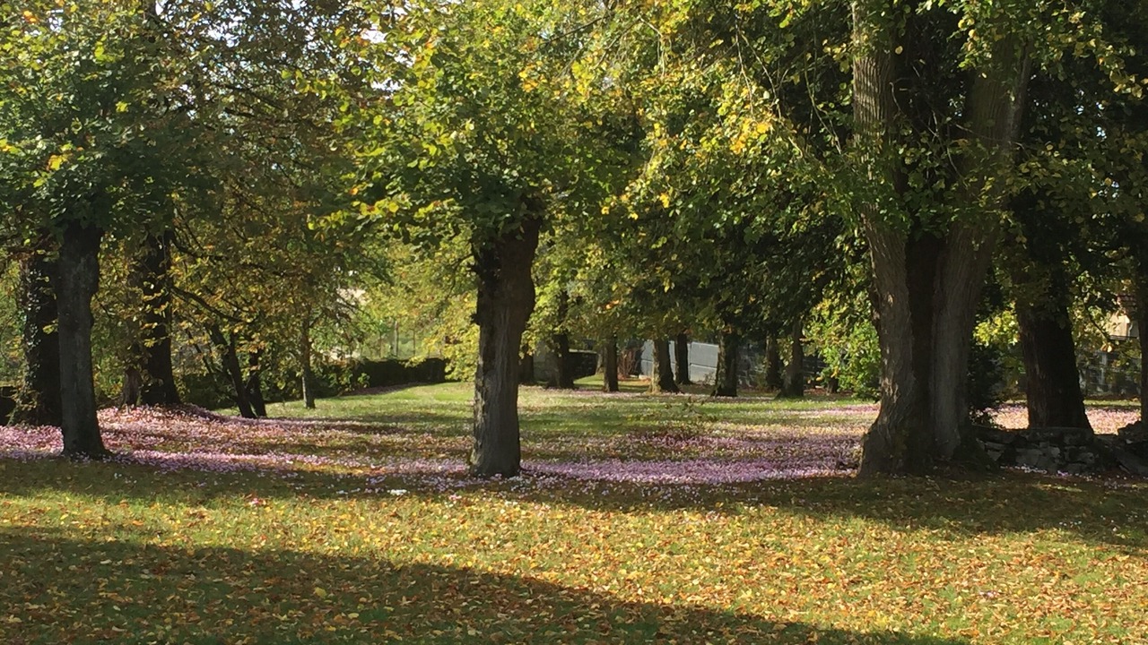 Photo of Outdoor in Authume