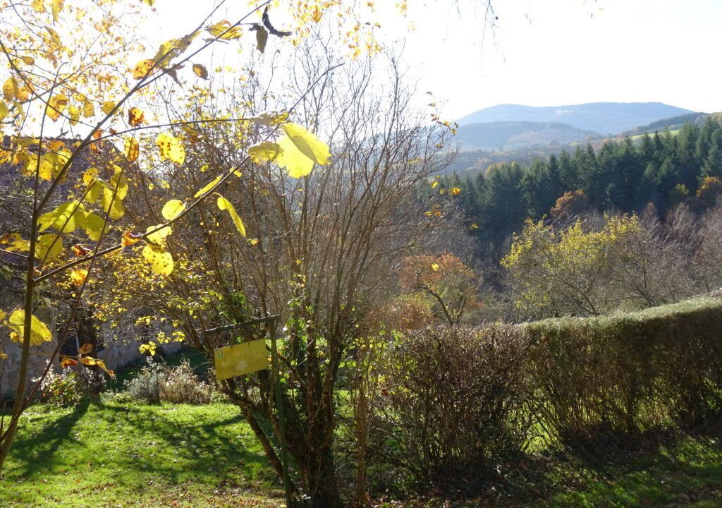 Photo of Outdoor in La Grande-Verriere