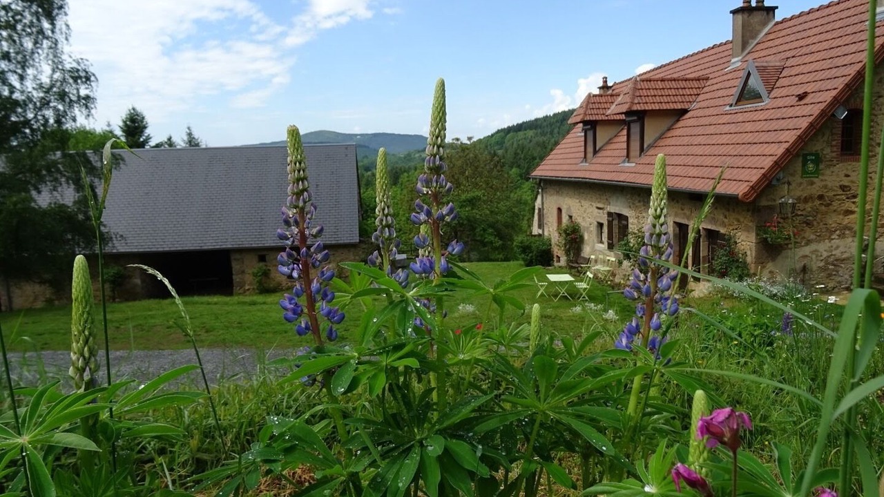 Photo of Outdoor in La Grande-Verriere