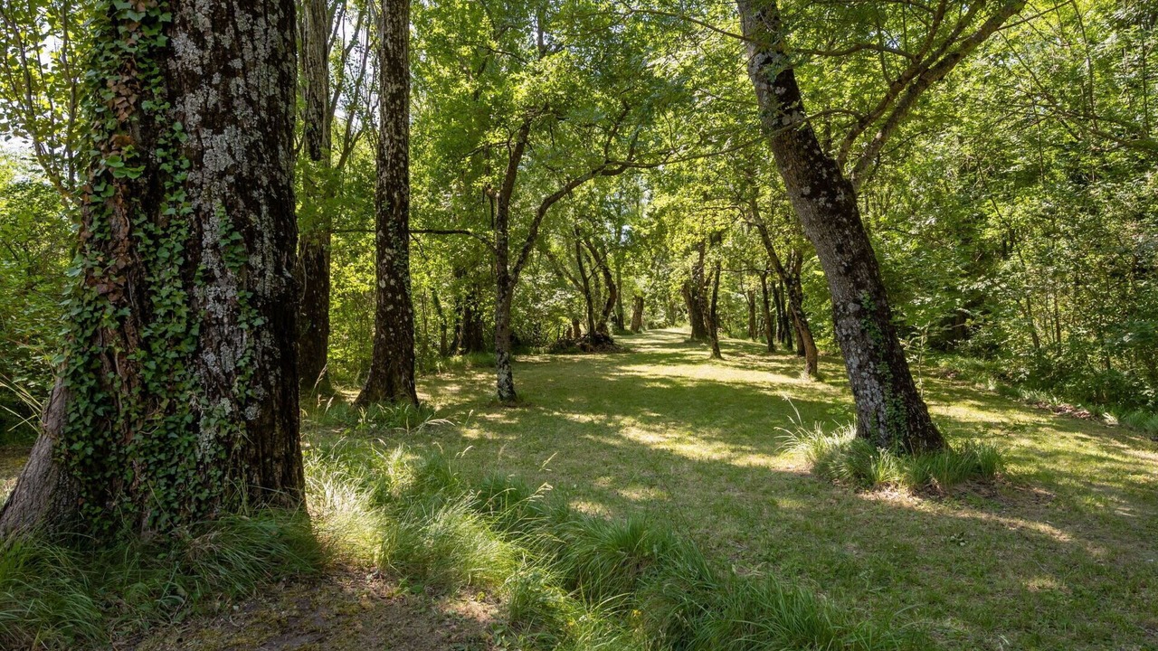 Photo of Outdoor in Le Poet-Laval