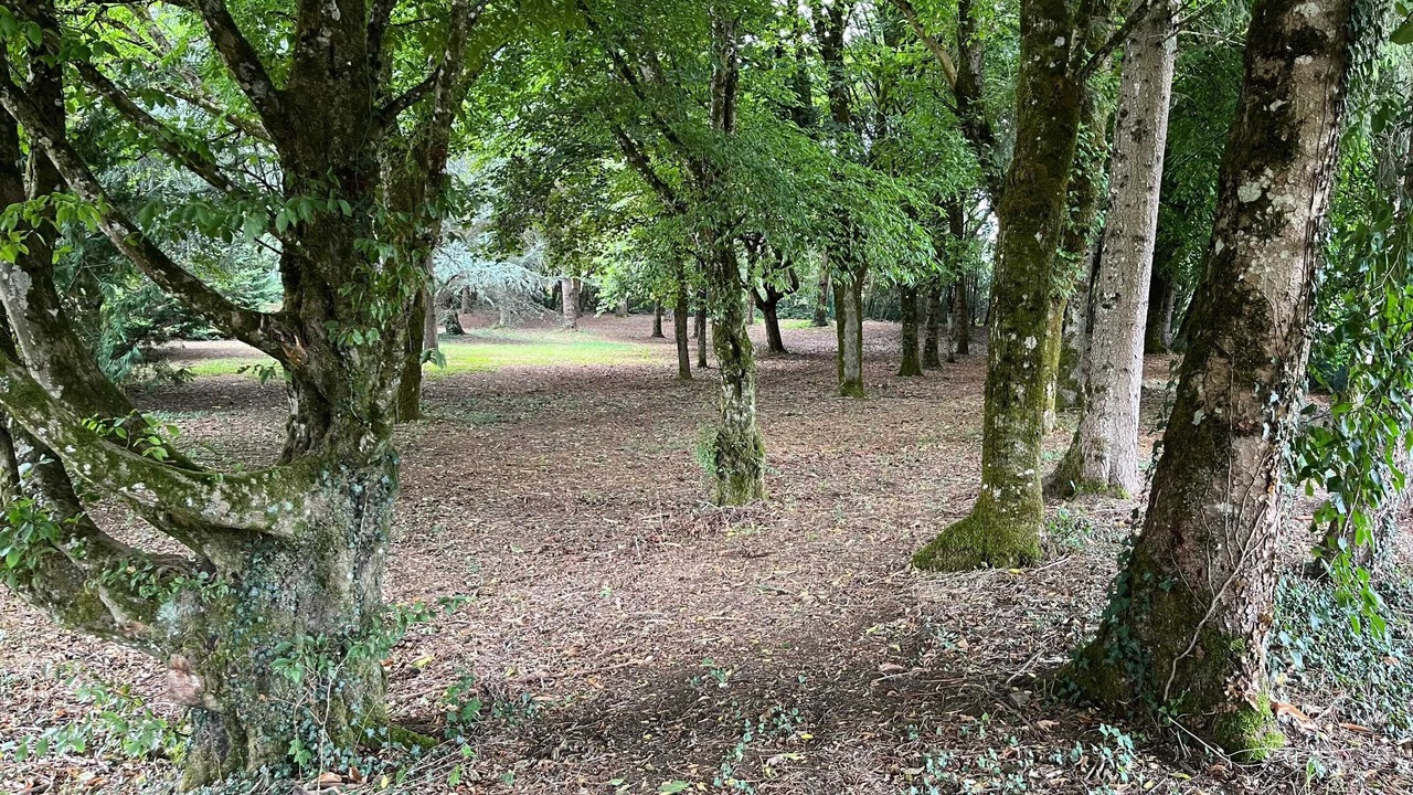 Photo of Outdoor in Liffol-le-Grand