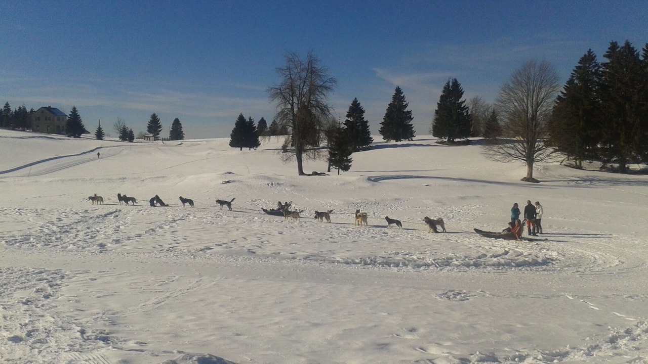 Photo of Others in Saint-Claude