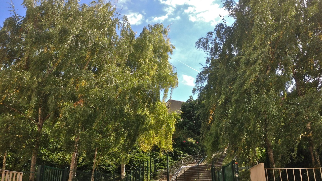 Photo of Outdoor in 13th Arrondissement