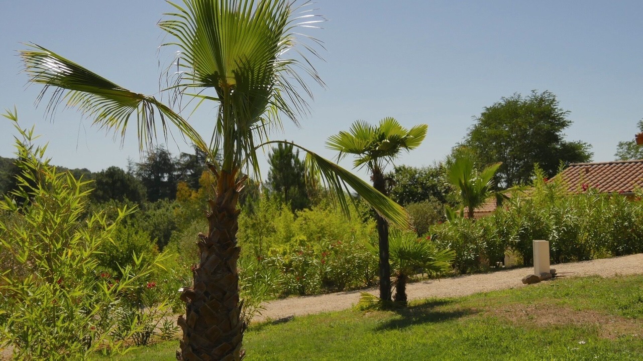 Photo of Outdoor in Sampzon