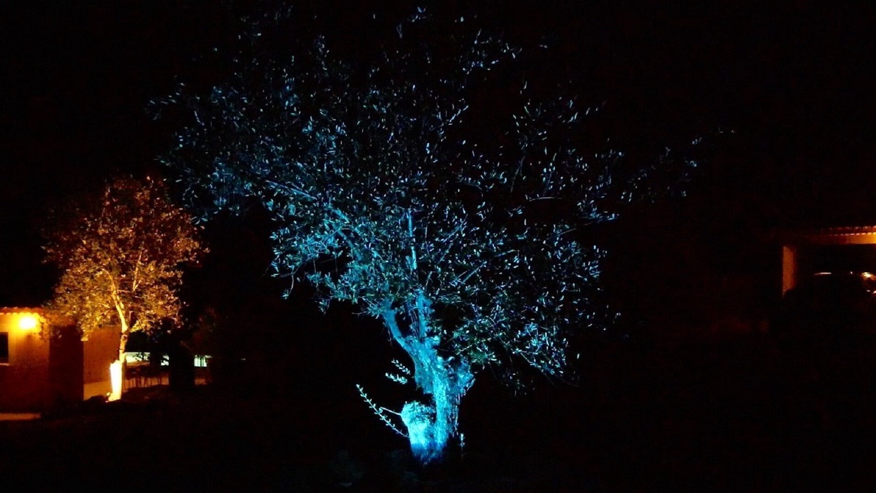 Photo of Outdoor in Sampzon