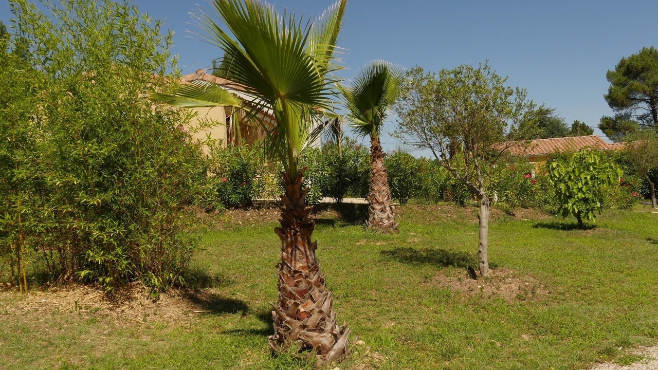 Photo of Outdoor in Sampzon