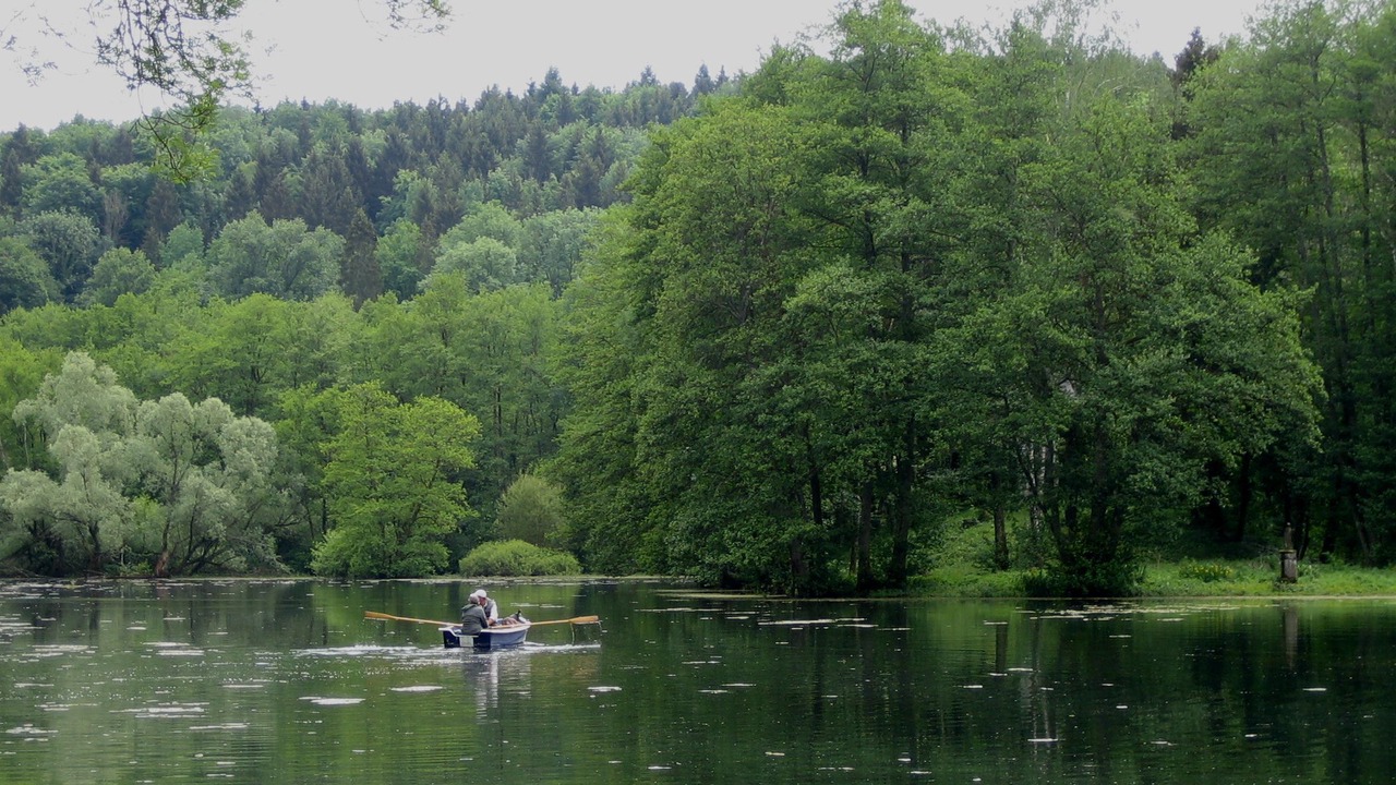 Photo of Outdoor in Trampot