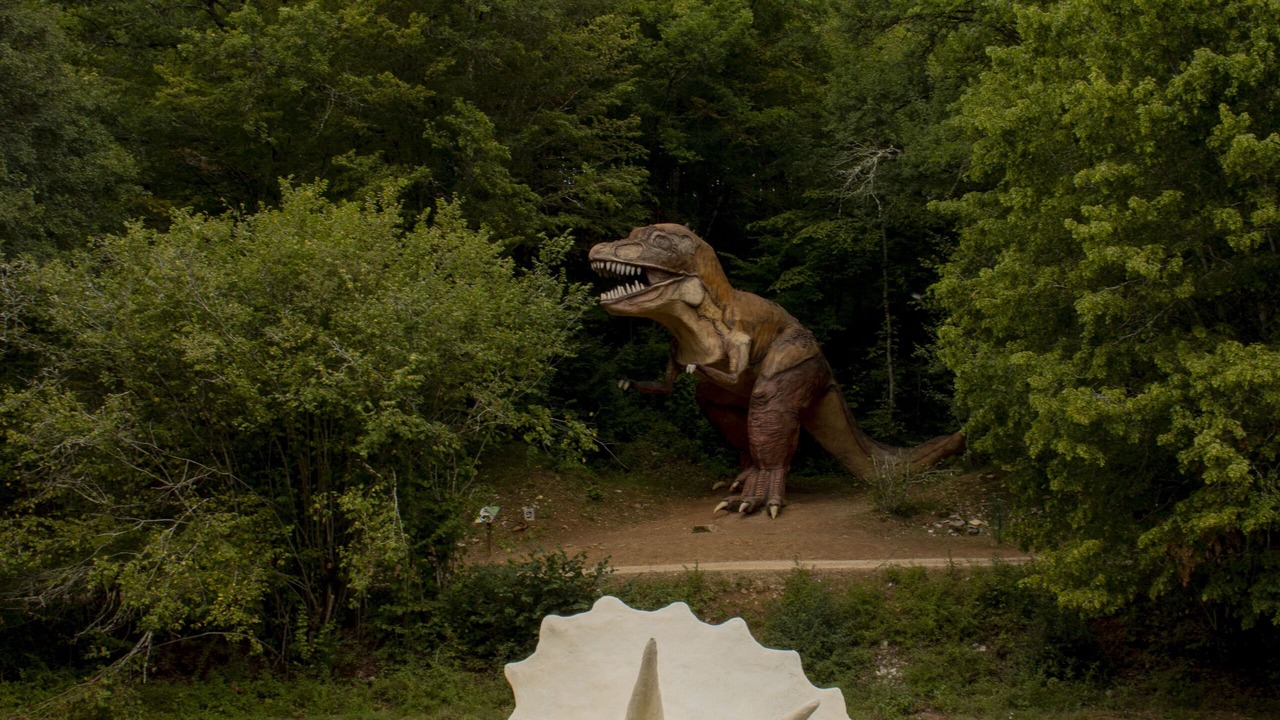 Photo of Outdoor in Arcy-sur-Cure