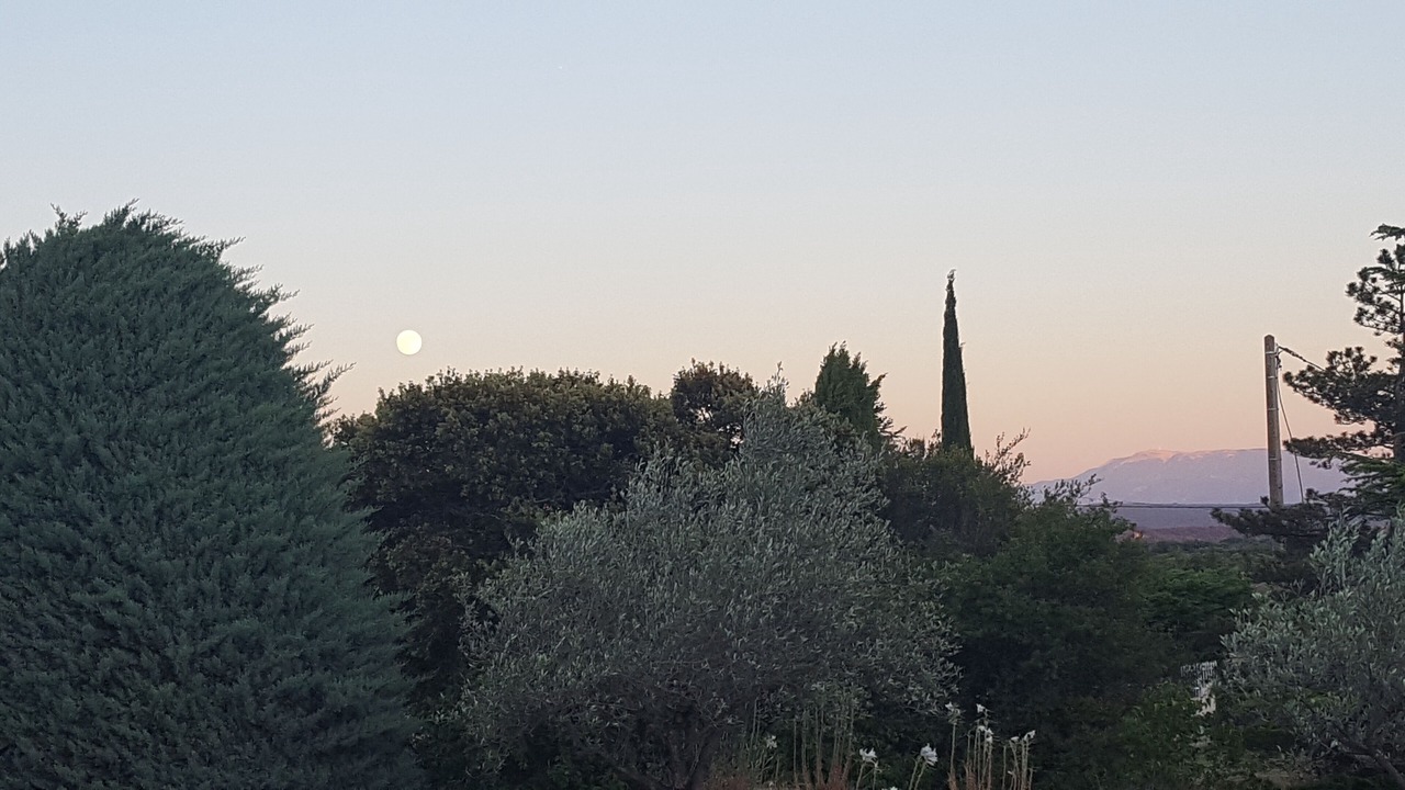 Photo of Others in Taulignan