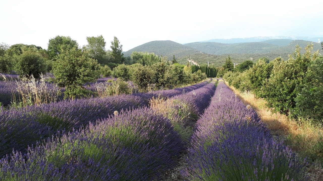 Photo of Outdoor in Taulignan