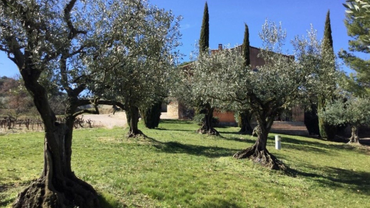 Photo of Outdoor in Mirabel-aux-Baronnies