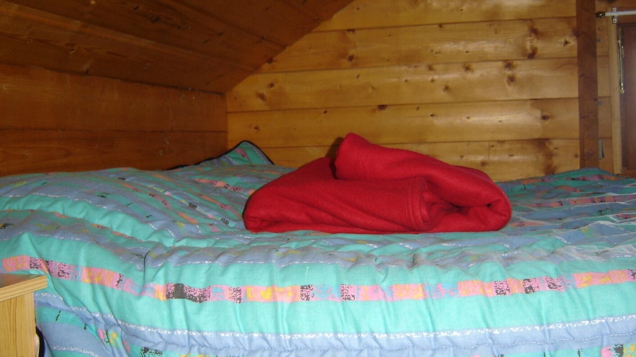 Photo of Bedroom in Pont-du-Navoy