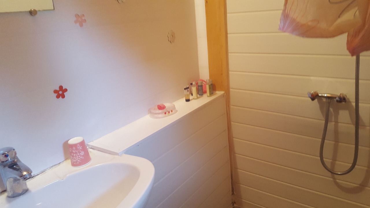 Photo of Bathroom in Pont-du-Navoy