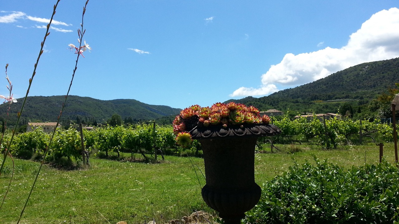 Photo of Outdoor in Crestet