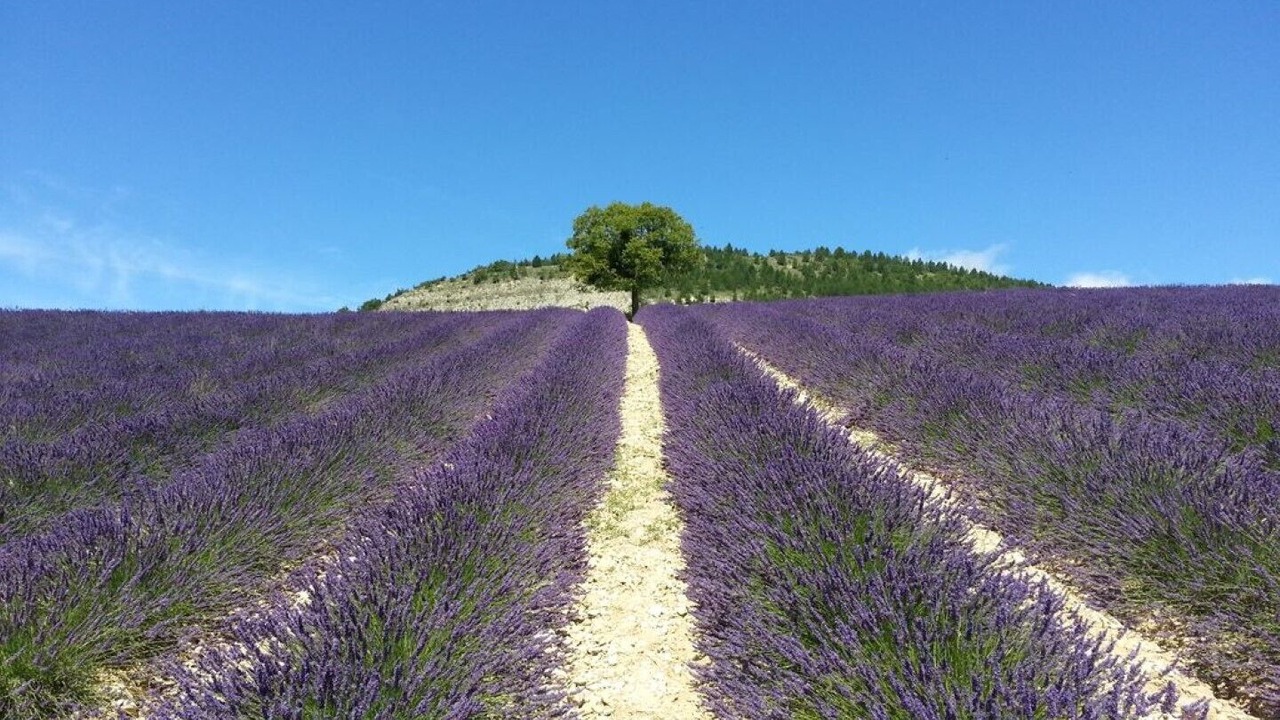 Photo of Outdoor in Crestet
