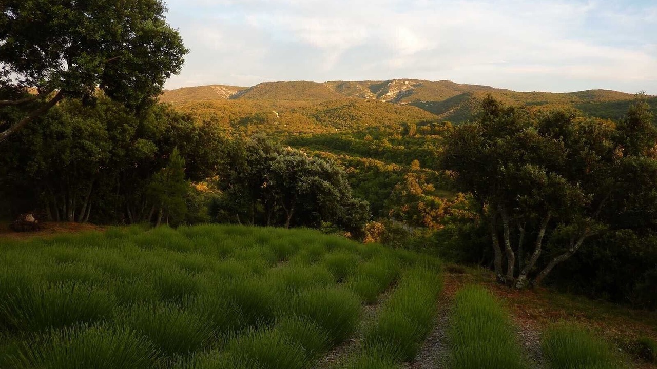 Photo of Outdoor in Le Beaucet
