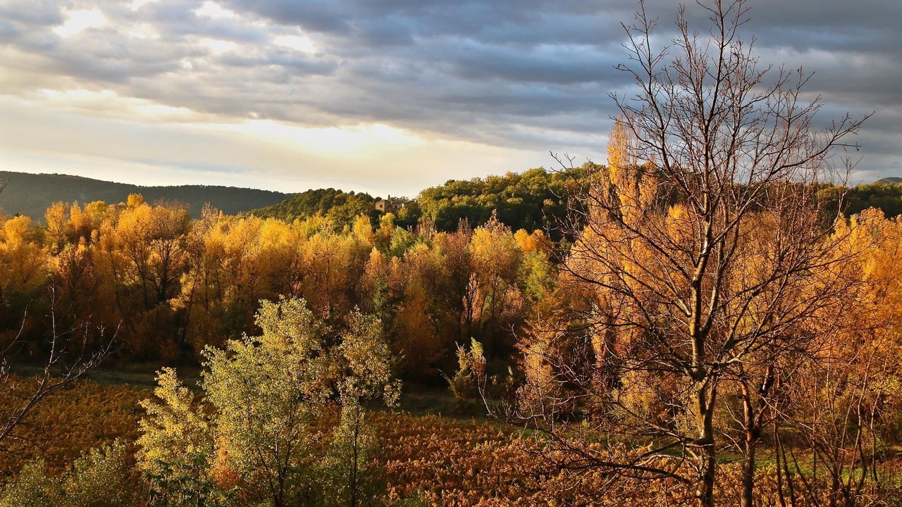 Photo of Outdoor in Mollans-sur-Ouveze