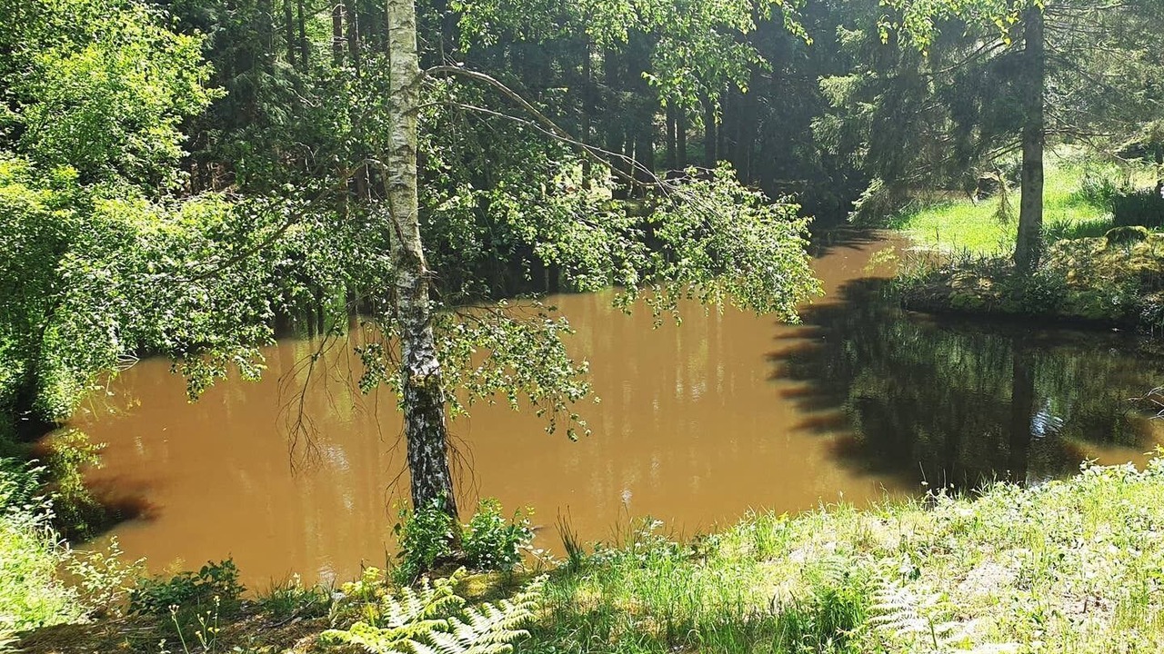 Photo of Outdoor in Saint-Martin-du-Puy