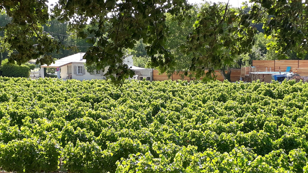 Photo of Outdoor in Chamaret