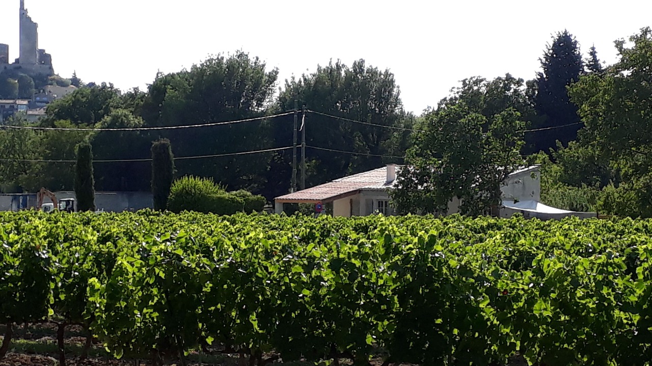 Photo of Outdoor in Chamaret
